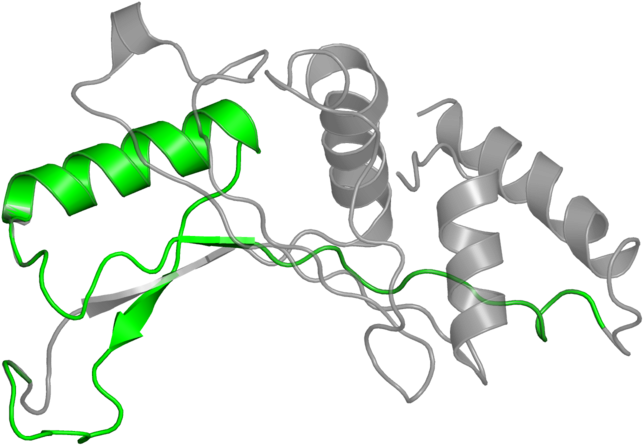 Clip Art - Png Download (800x800), Png Download