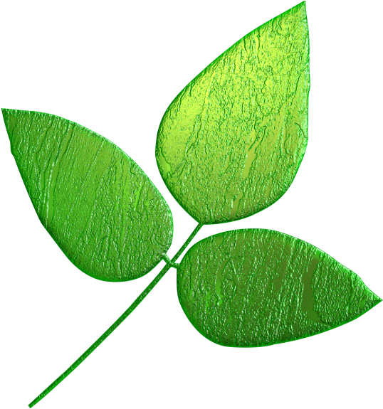 Leaf Clipart (600x615), Png Download