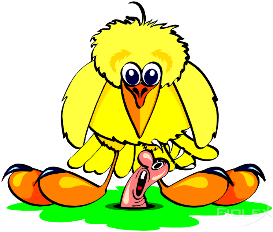 Clip Art - Png Download (959x776), Png Download