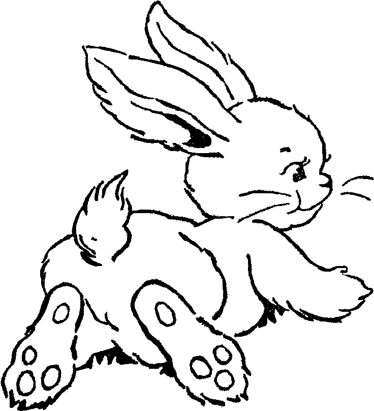 Transparent Bunny Clipart Black And White - Drawing Easter Bunny Art - Png Download (736x808), Png Download