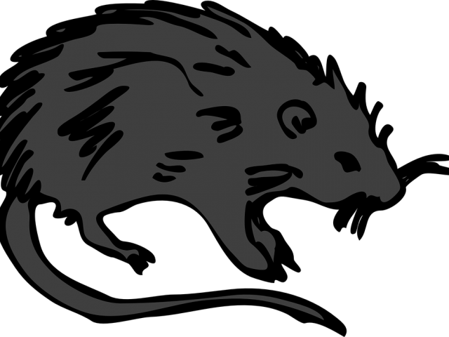 Rat Clip Art - Png Download (640x480), Png Download