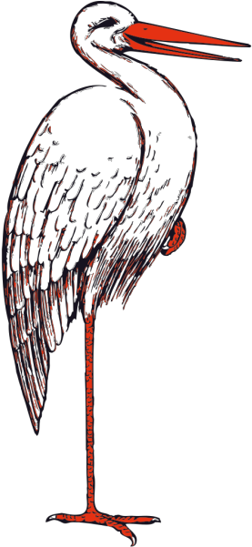 Stork Bird Png Icons - Stork Clip Art Transparent Png (600x600), Png Download
