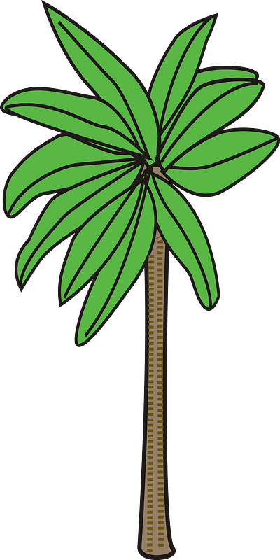 Plants Clipart (400x800), Png Download