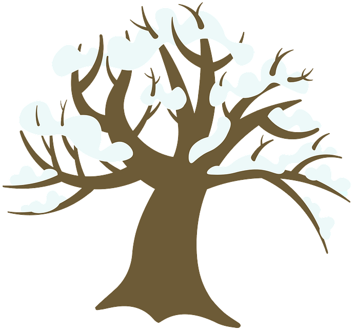 Winter Tree Clipart - Winter Tree Clip Art - Png Download (690x642), Png Download