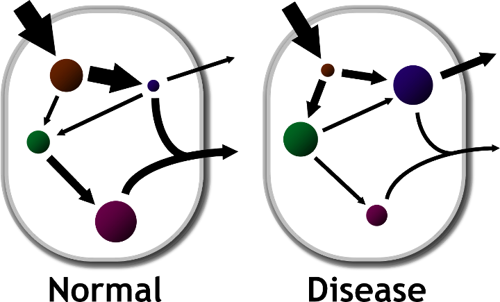 Serum Free Fatty Acids Are Typically Elevated In Individuals - Circle Clipart (720x435), Png Download
