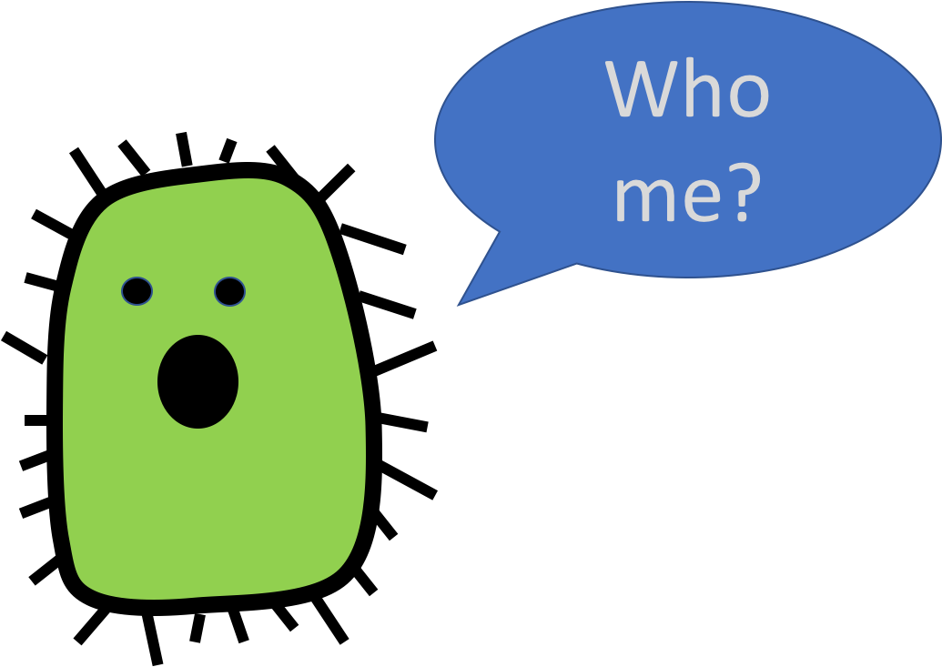 Gut Bacteria And Type Ii Diabetes - Bacteria Clipart (1920x1080), Png Download