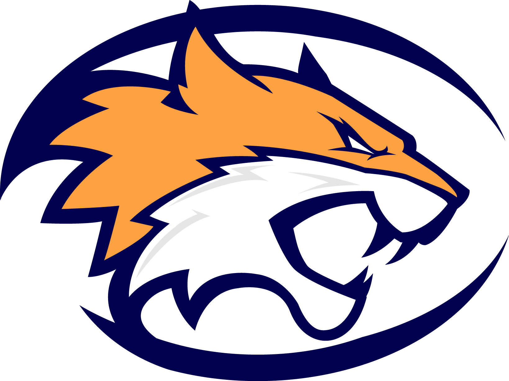 Information West Middle School - Worcester Wildcats Clipart (1639x1228), Png Download