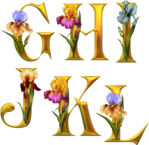 Alphabet Fleurs - Tube Alphabet Clipart (580x580), Png Download