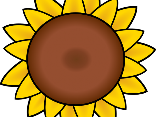 Petal Clipart Sun Flower - Sunflower Clipart - Png Download (640x480), Png Download