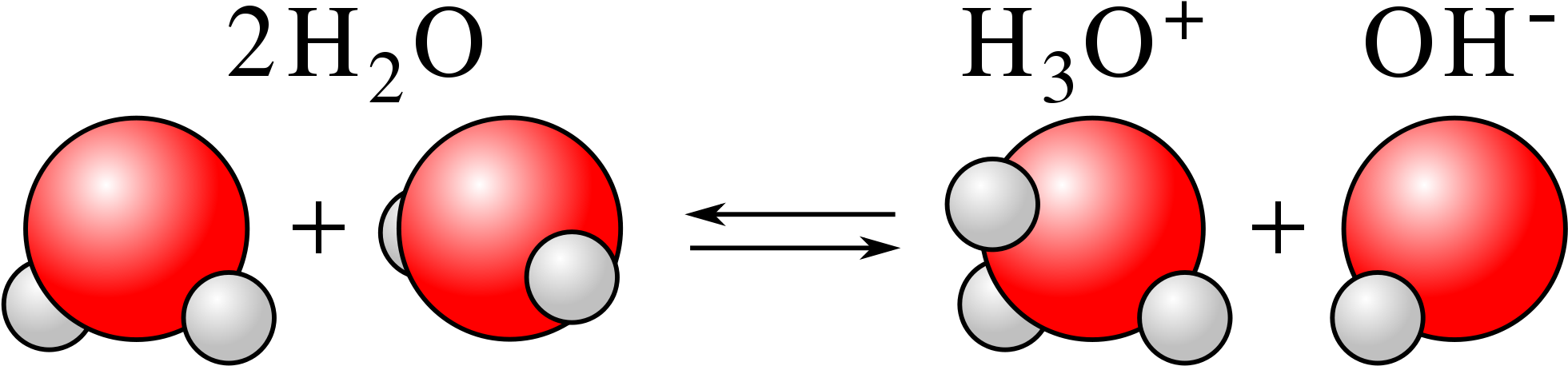 Anaerobicphaelosophere Colipw800 1pw800 2220px Louis - Self Ionization Of Water Clipart (2000x506), Png Download