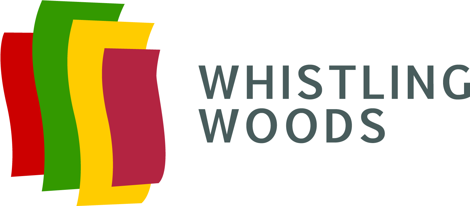 Overview - Clip Art - Png Download (1514x660), Png Download