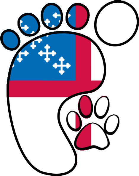 Back To Top - St Thomas 5k & 1k Fun Run Clipart (524x632), Png Download