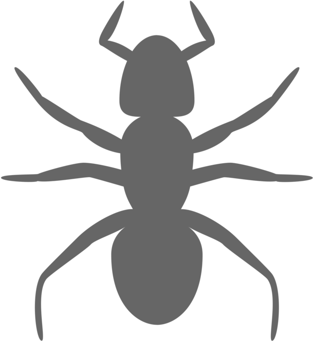 Ant Insect Silhouette Art Drawing - Ant Clip Art - Png Download (750x750), Png Download