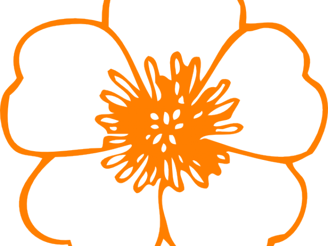 Orange Flower Clipart Buttercup - Outline Of A Poppy - Png Download (640x480), Png Download