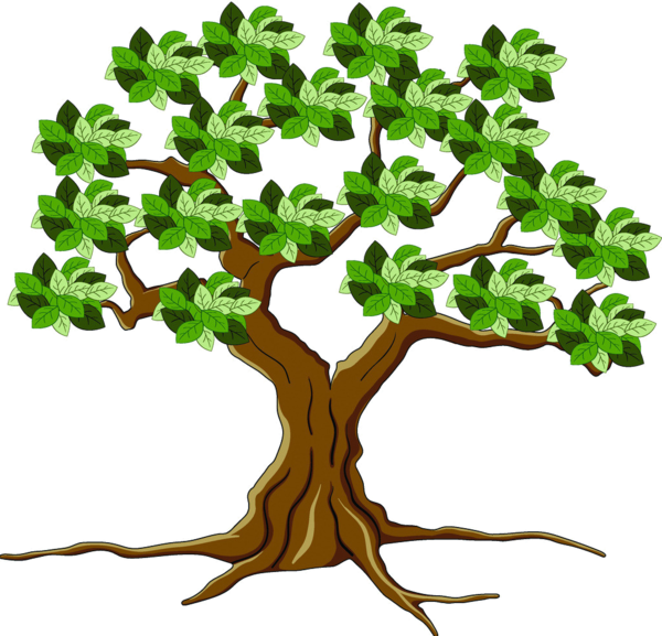 Trees ‿✿⁀°••○ - Tree Clipart (600x577), Png Download