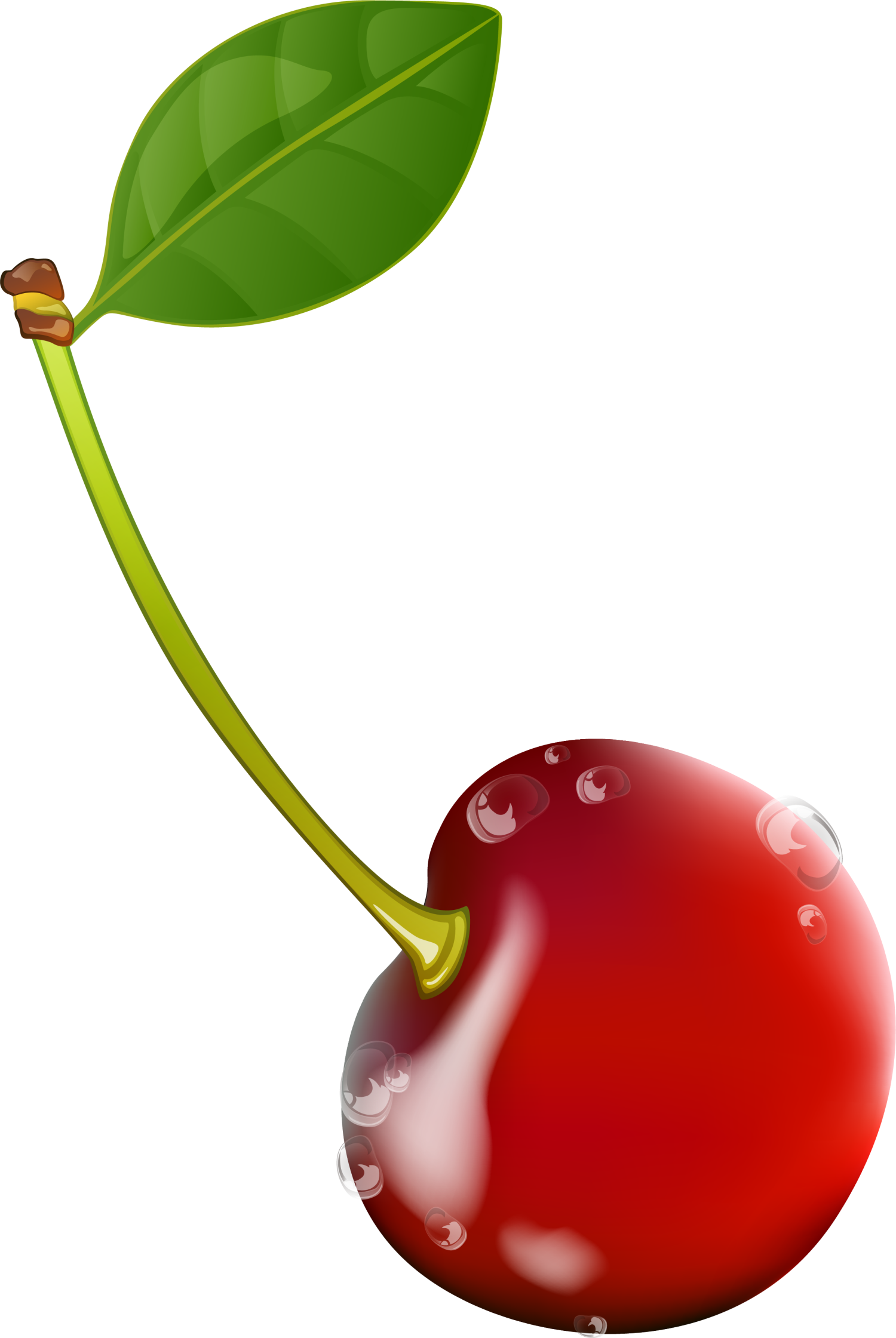 Jpg Freeuse Stock Cherry Transprent Png Free - ภาพ วาด เชอ ร์ รี่ Clipart (1500x2241), Png Download