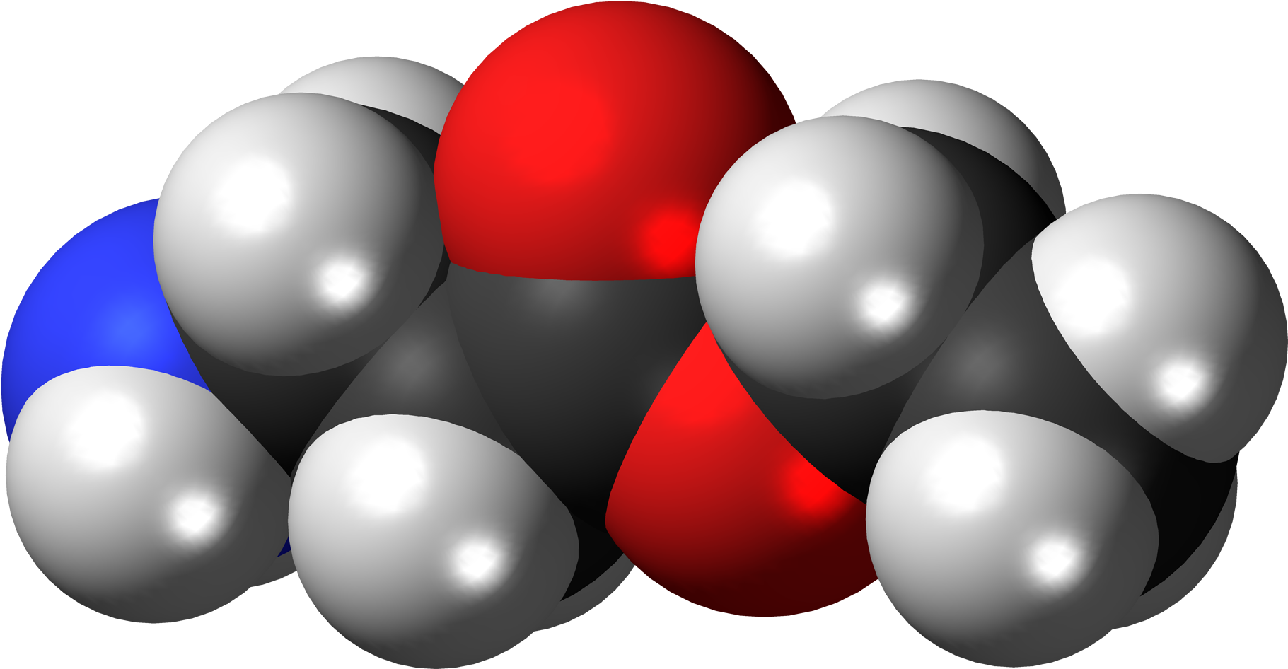 50, 5 September 2011 - Beta-alanine Ethyl Ester Clipart (2000x1125), Png Download