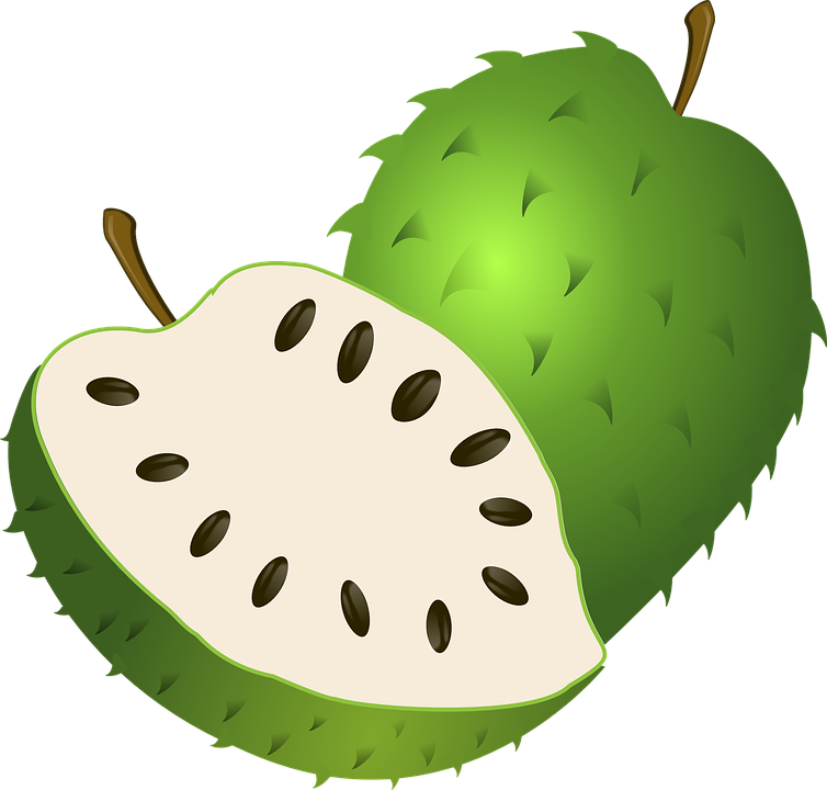 How To Treat Heart Disease Naturally - Guanabana Clipart - Png Download (640x611), Png Download