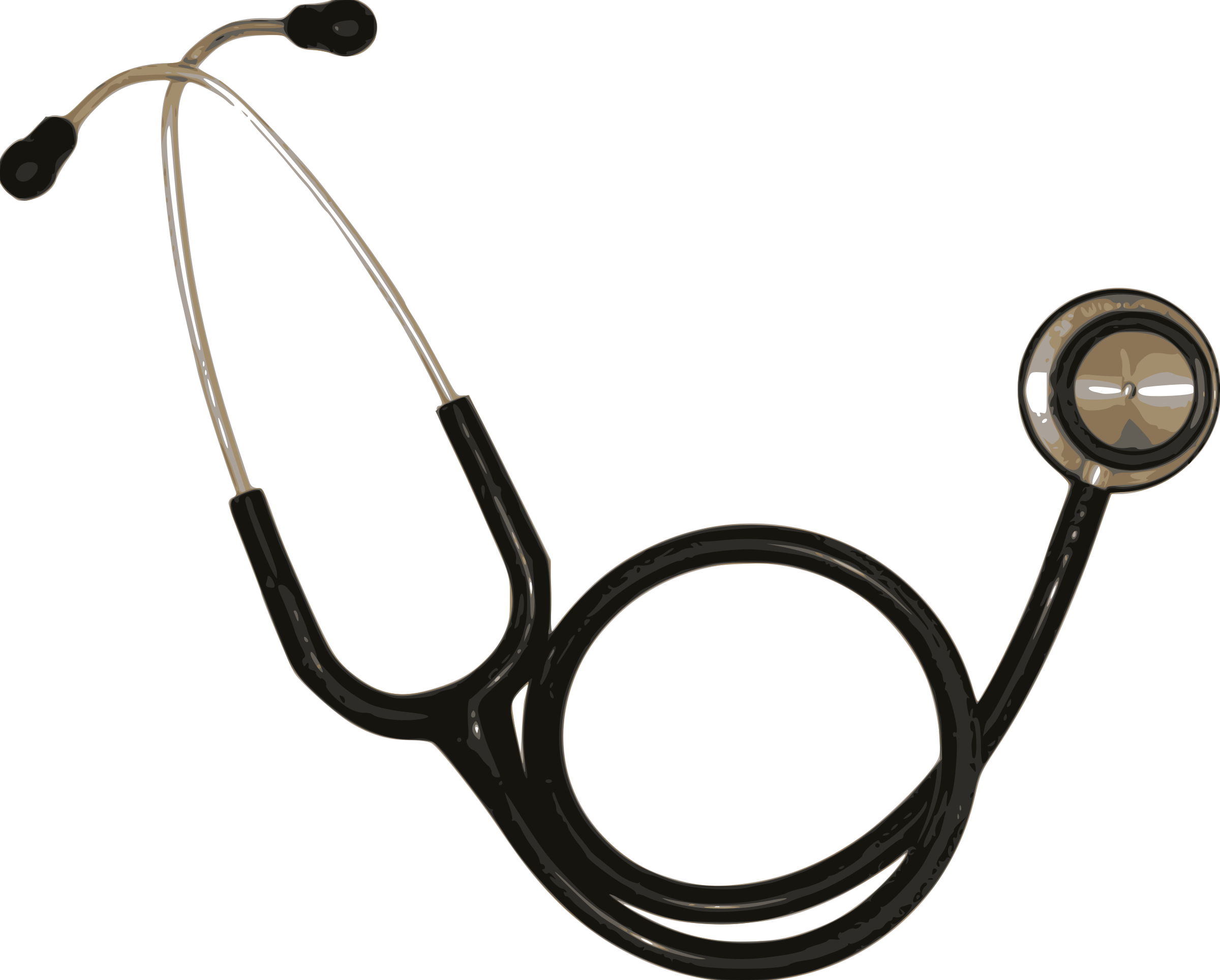 Stethoscope Clip Art Images Black And White Jan - Care Shop Professional Dual Headed Stethoscope - Lightweight - Png Download (2400x1928), Png Download