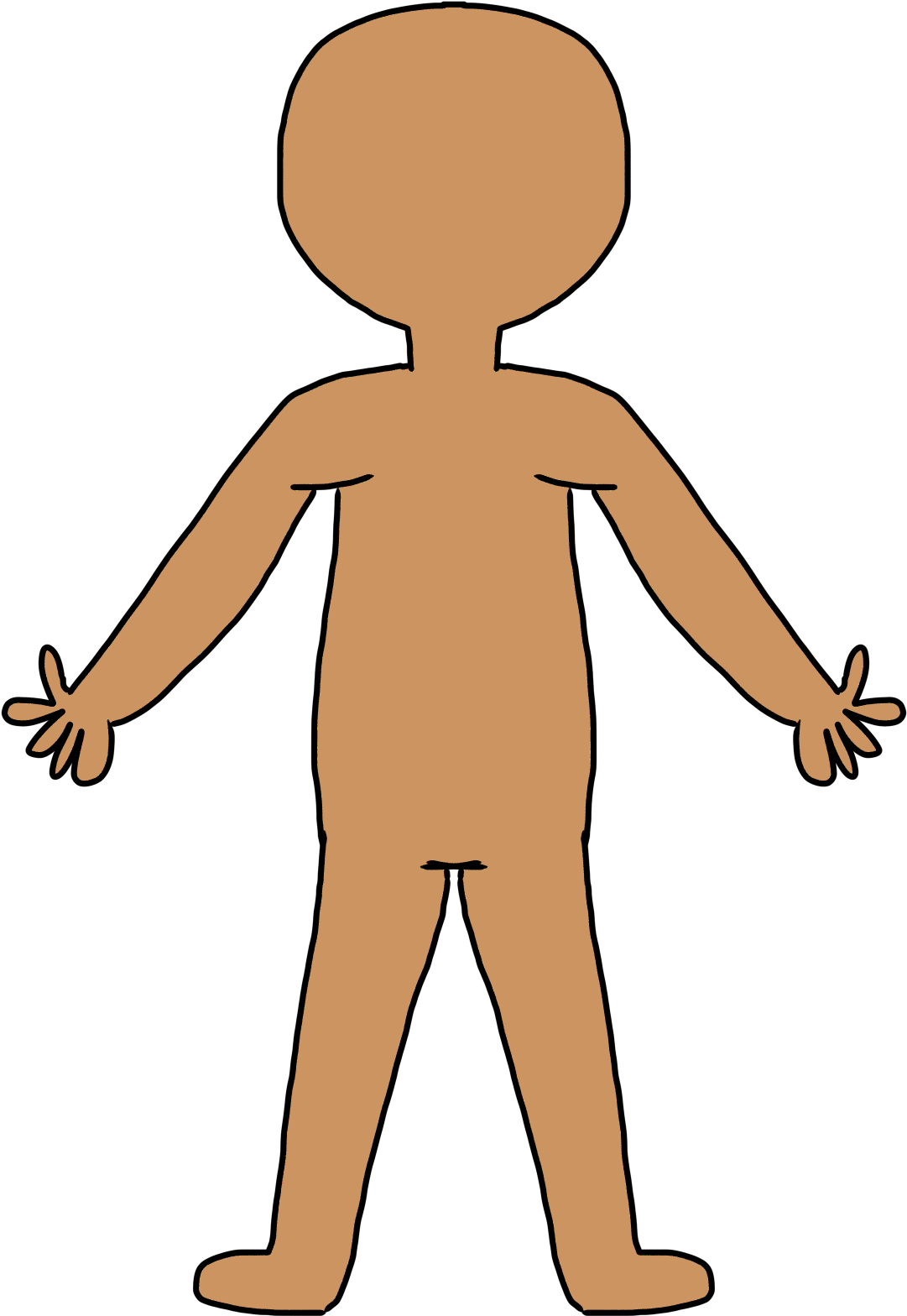 Pulse Clipart Human Skin - Body Clipart - Png Download (1200x1600), Png Download