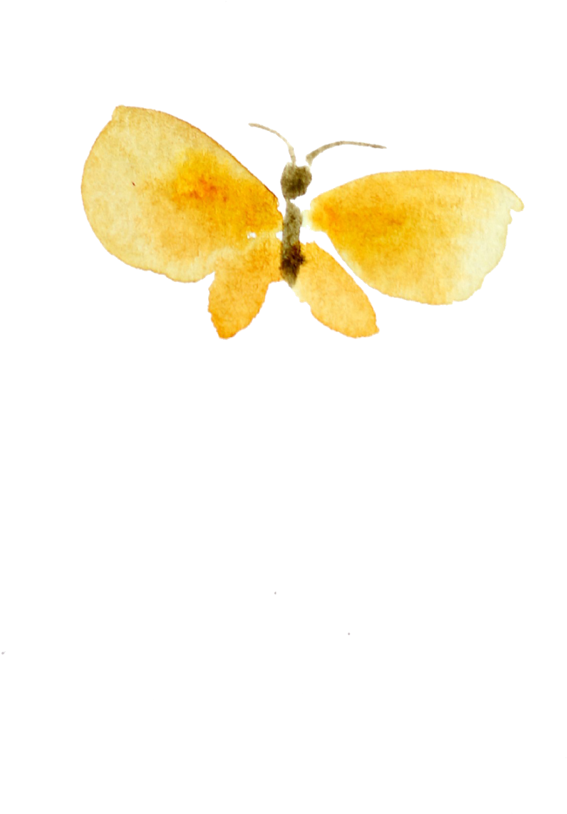 Free May Desktop Calendar And Watercolor Clipart - Insect - Png Download (1066x1600), Png Download