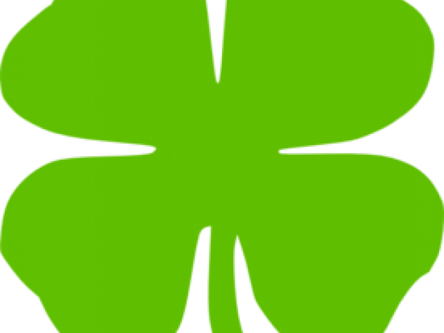 Four Leaf Clover Clipart (640x480), Png Download