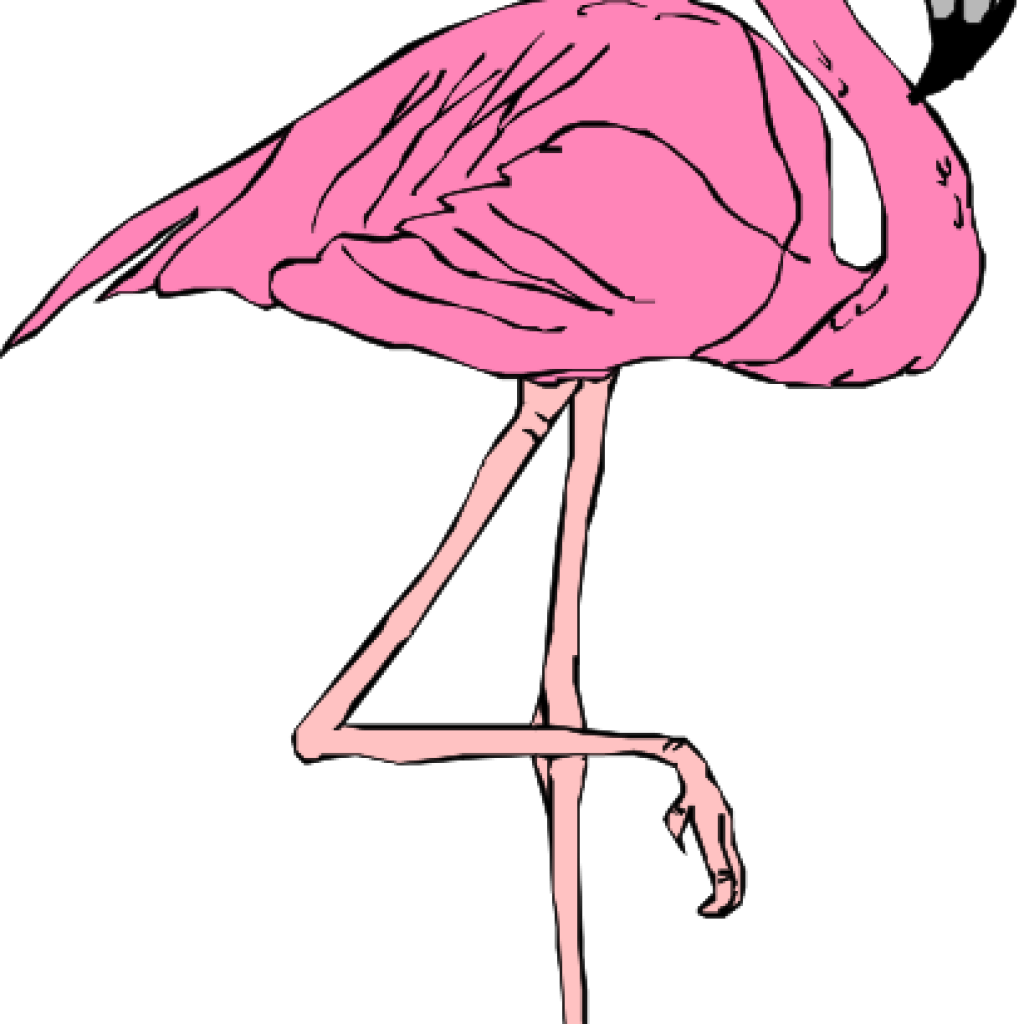 Pink Flamingo Clip Art Pink Flamingo Clip Art At Clker - Pink Flamingo - Png Download (1024x1024), Png Download