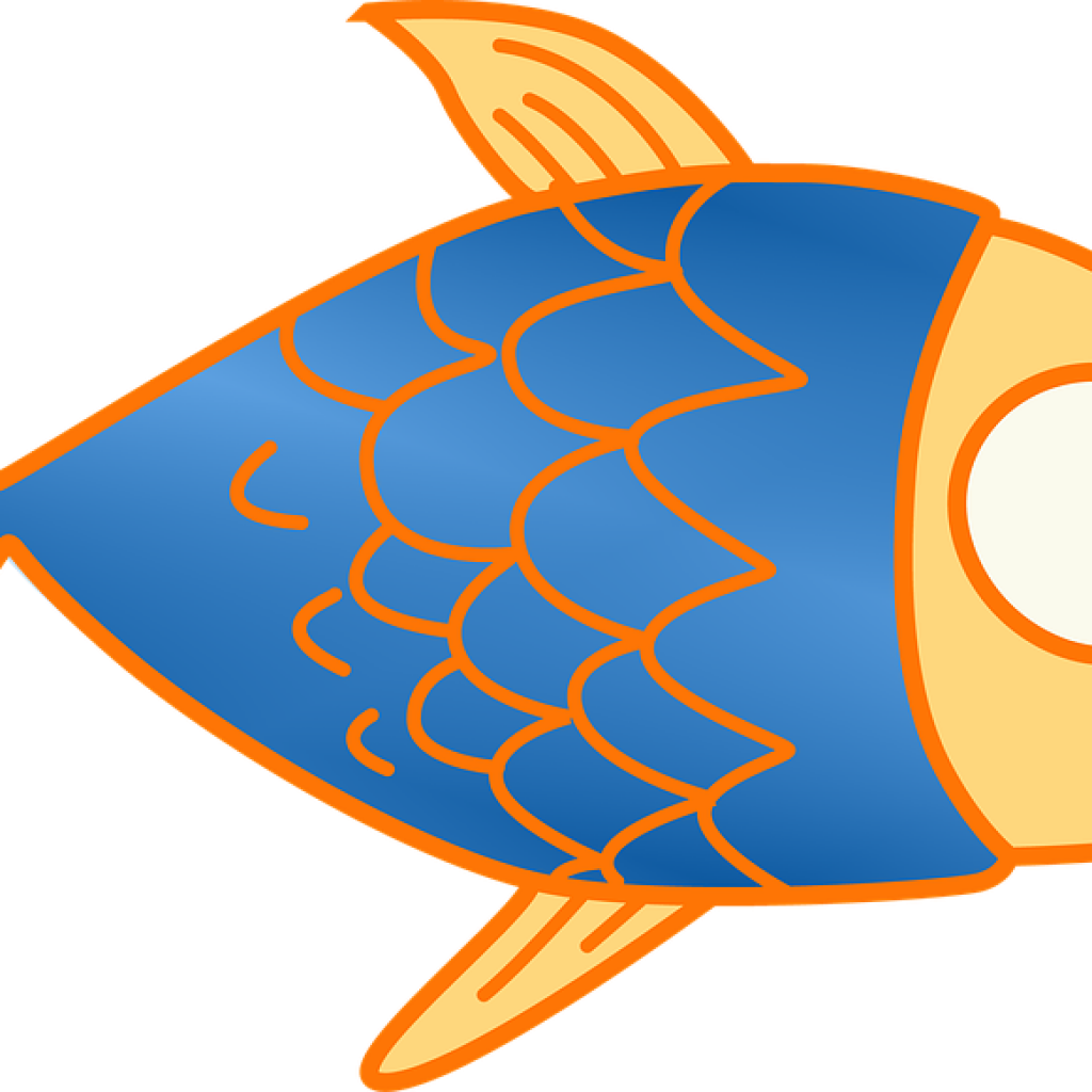Fish Clip Art Winter Clipart - Fish Cartoon Pictures Png Transparent Png (1024x1024), Png Download