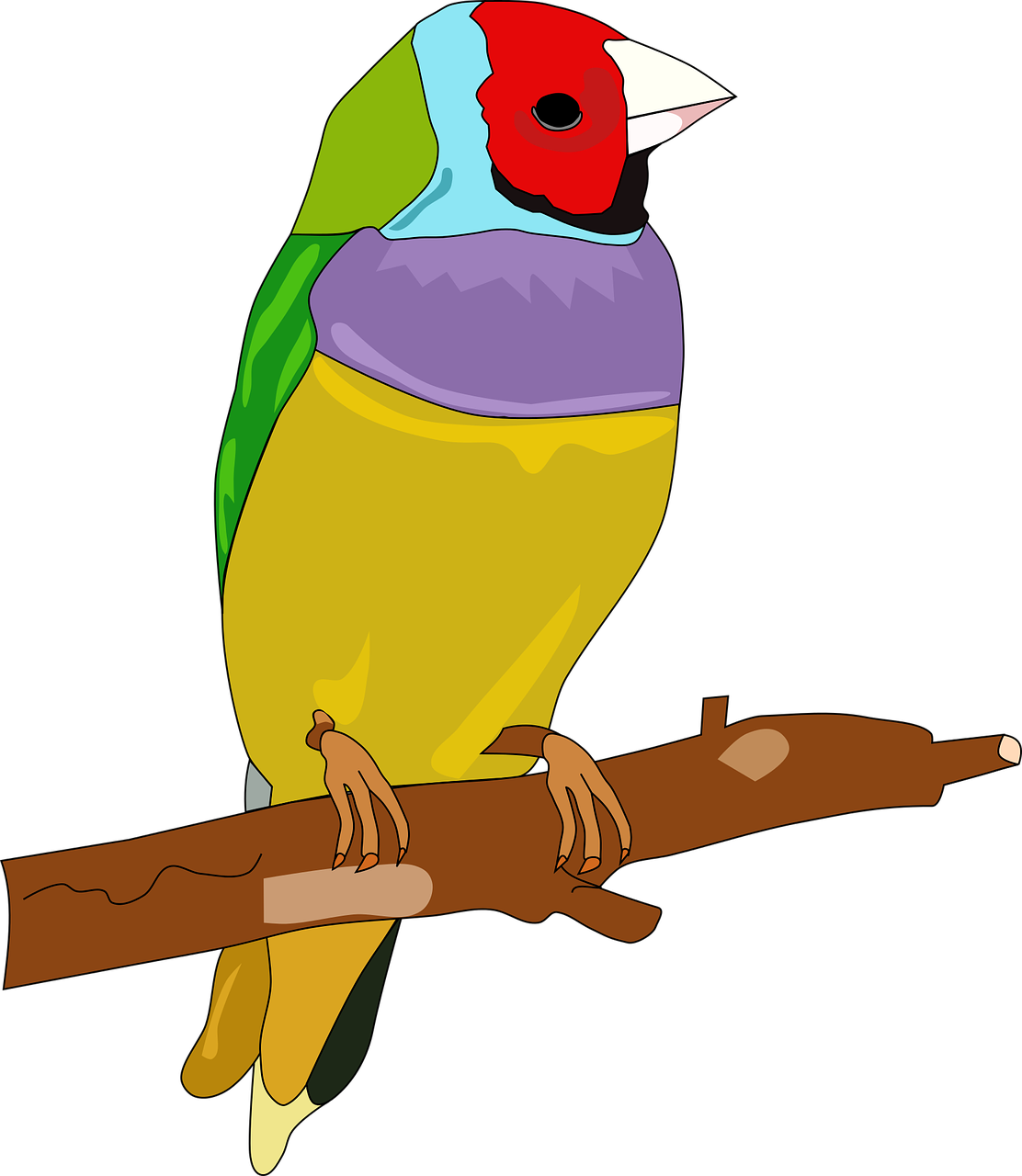 Bird Passerine Color Drawing Feather - Color Drawing Of Bird Clipart (530x750), Png Download