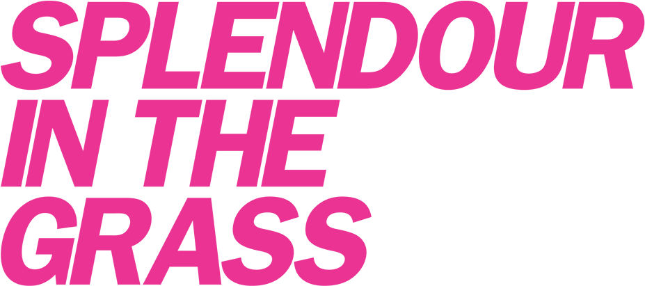 Splendour In The Grass Logo Clipart (1400x430), Png Download