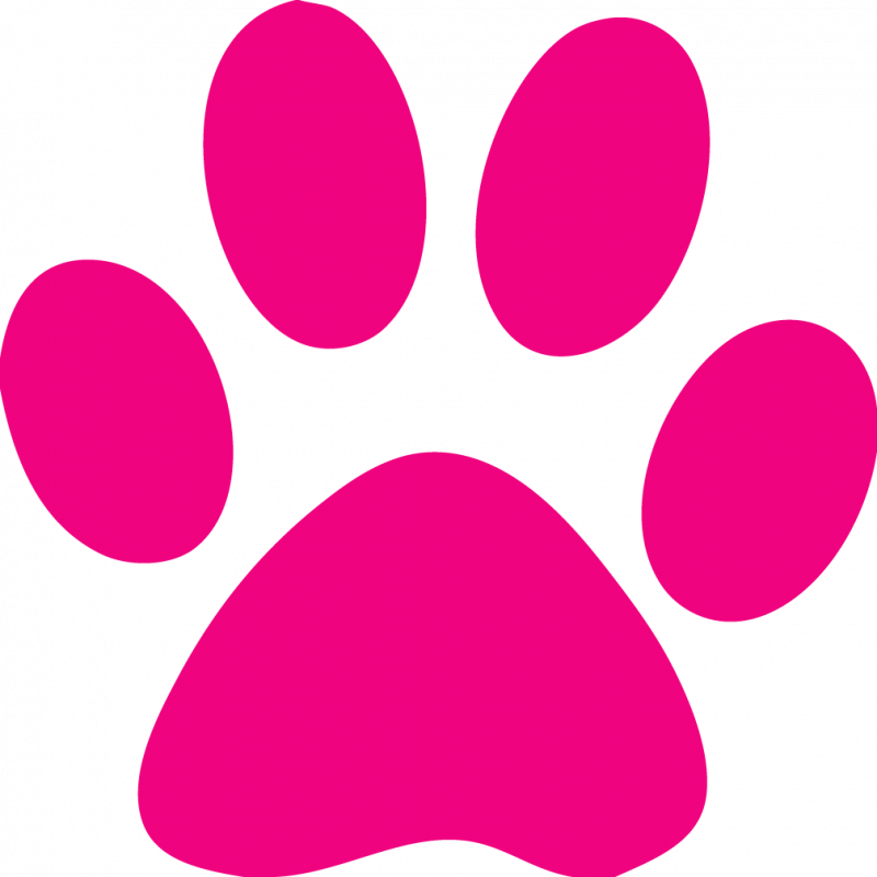 Clip Arts Related To - Pink Paw Print Clip Art - Png Download (800x800), Png Download