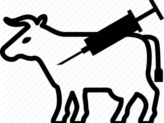 Cow Clipart Veterinarian - Vet Cow Png Transparent Png (640x480), Png Download