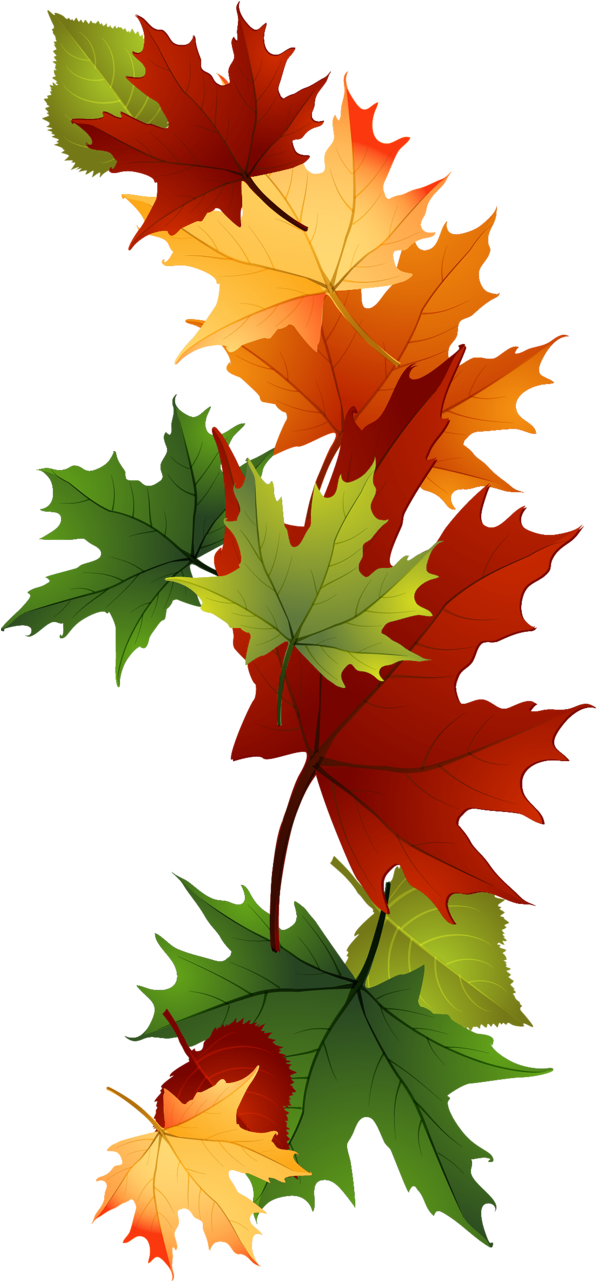 Leaf Fall Leaves Clip Art Beautiful Autumn Clipart - Laub Clipart - Png Download (672x1328), Png Download