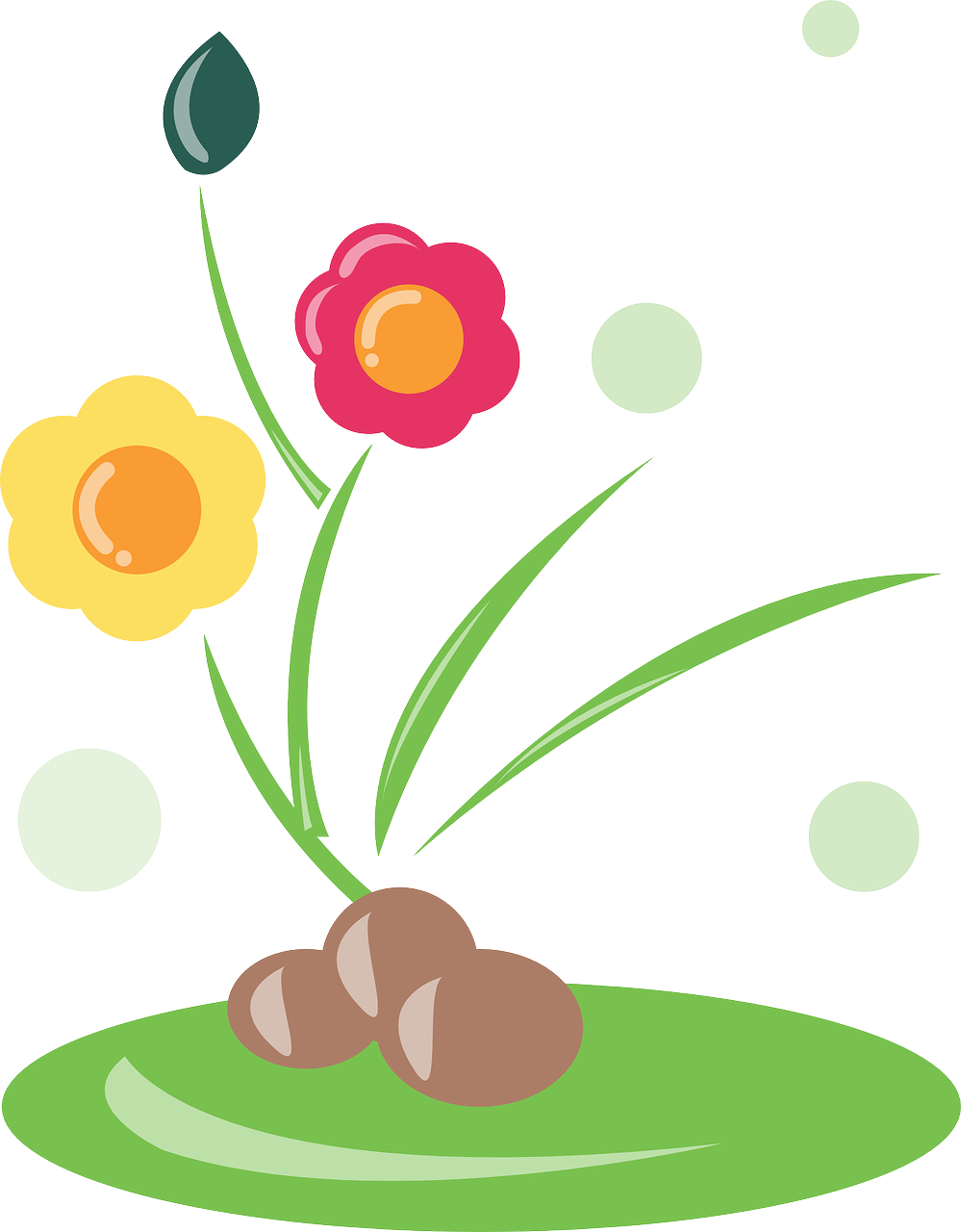 Flower Border Clipart Download Free - Png Download (703x900), Png Download