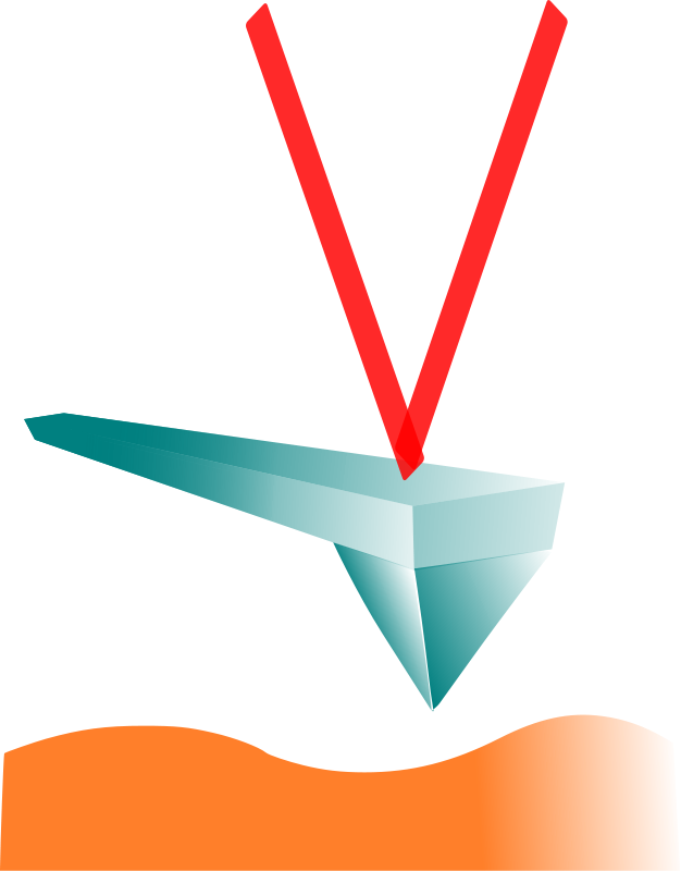 Atm Clip Art Download - Atomic Force Microscopy - Png Download (626x800), Png Download