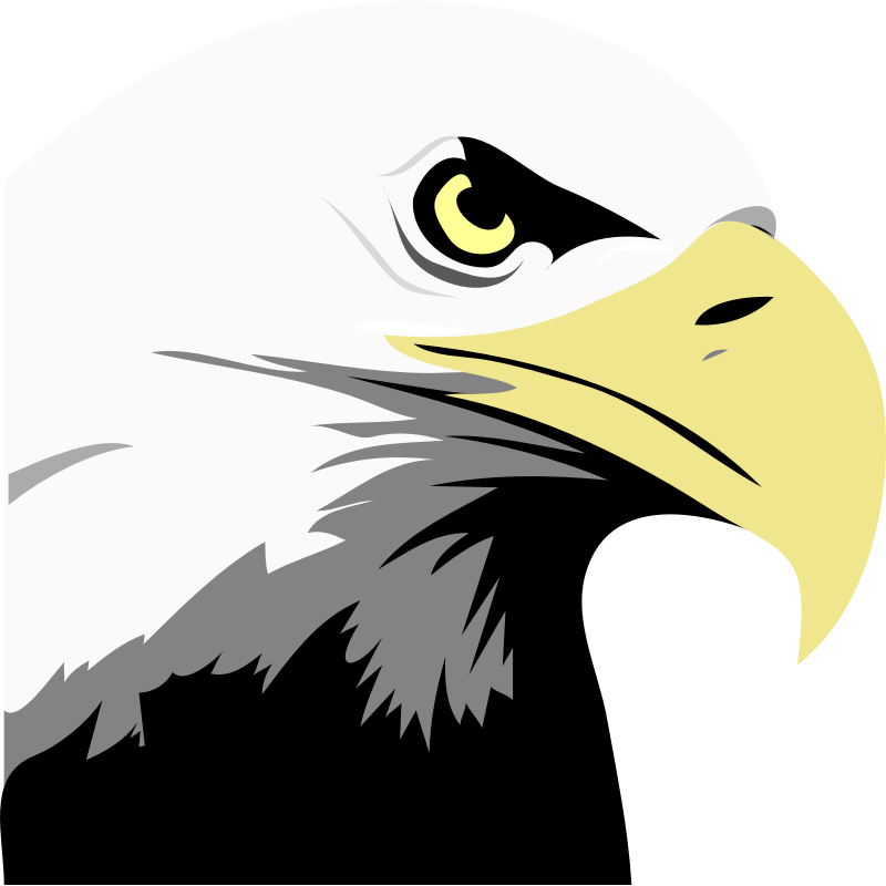 Bald Eagle - Eagle Eye Clipart (600x598), Png Download