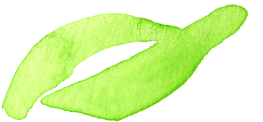 [showmyads] - Marine Mammal Clipart (872x465), Png Download