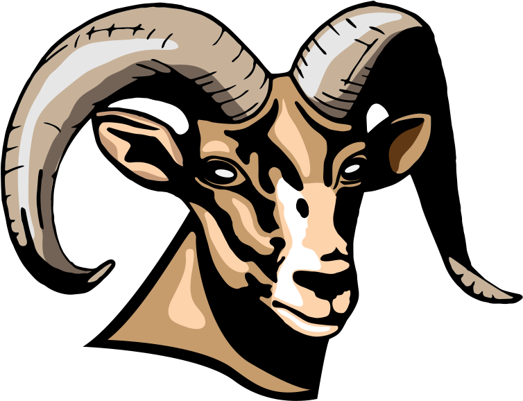 Required Tops - Billy Lane Lauffer Clipart (800x600), Png Download