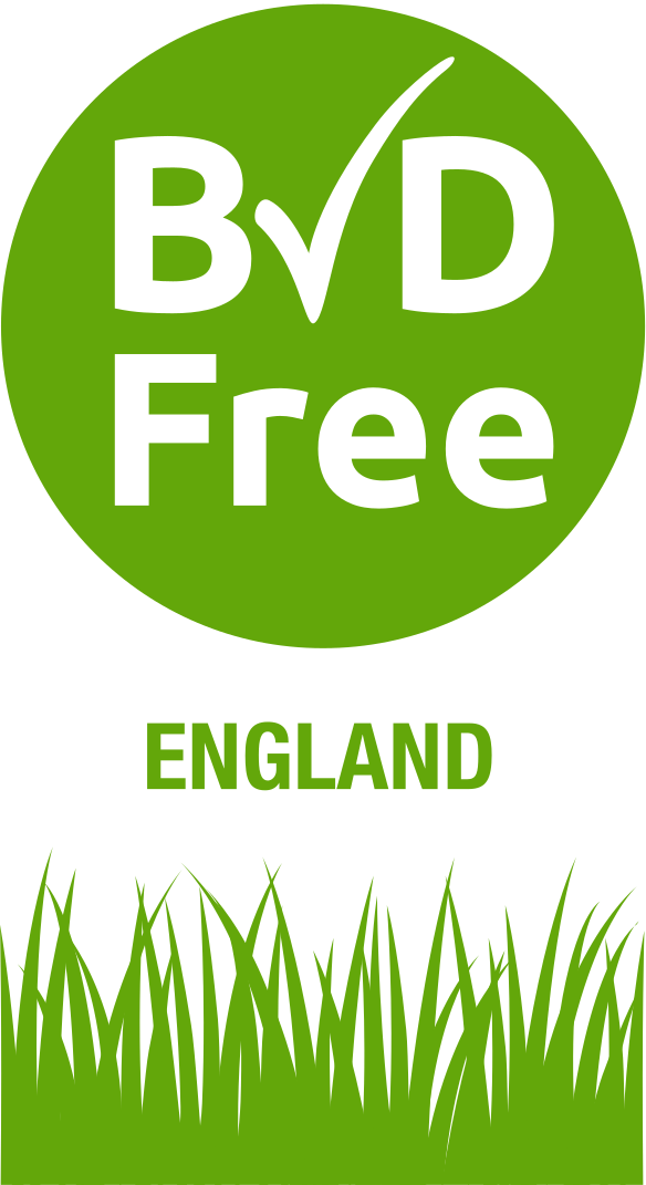 Welcome To The Bvdfree Support Desk - Bvd Free Clipart (584x1071), Png Download