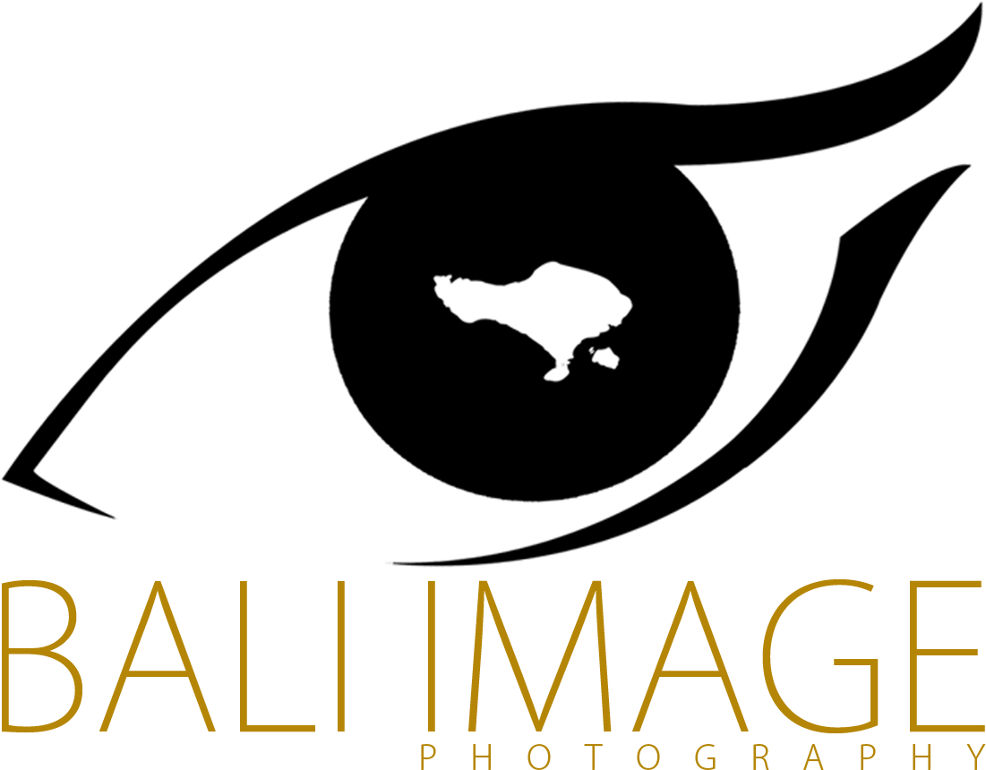 Bali Image Is A Team Of Creative, Talented, Fun, Young, - Photography Indonesia Logo Clipart (1349x892), Png Download
