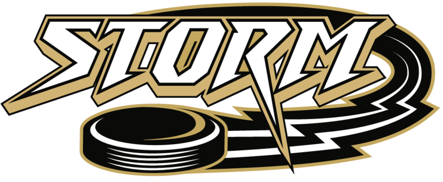 Storm Hockey Logo Clipart (900x377), Png Download