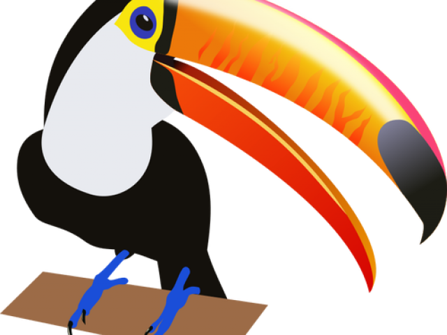 Birds Animals Clip Art - Png Download (640x480), Png Download