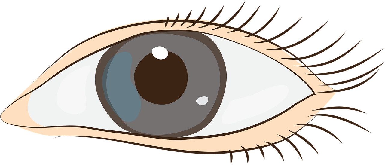 Missing Description - Clipart Auge - Png Download (960x480), Png Download