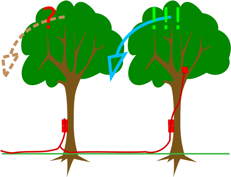 Free Kick Explosives Charge On Timber Free Legno - Explosive Clipart (800x619), Png Download