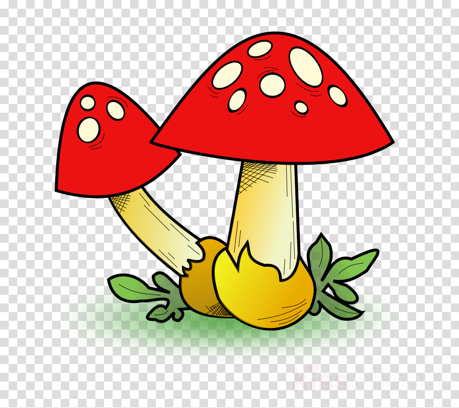Download Mushroom Clip Art Clipart Edible Mushroom - Mushroom Clip Art - Png Download (900x800), Png Download