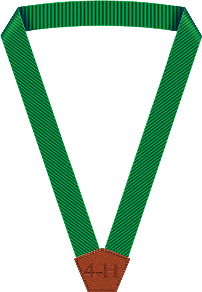 4-h Member Achievement Ribbon - Parallel Clipart (1028x1028), Png Download