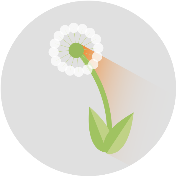 Weed Diagnostics Center - Cannabis Clipart (600x600), Png Download