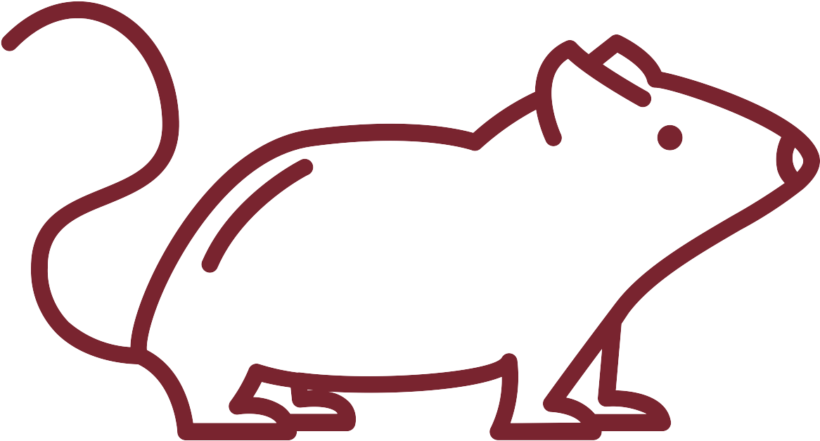 Rodent Tips - Line Mouse Illustration Clipart (1200x1200), Png Download