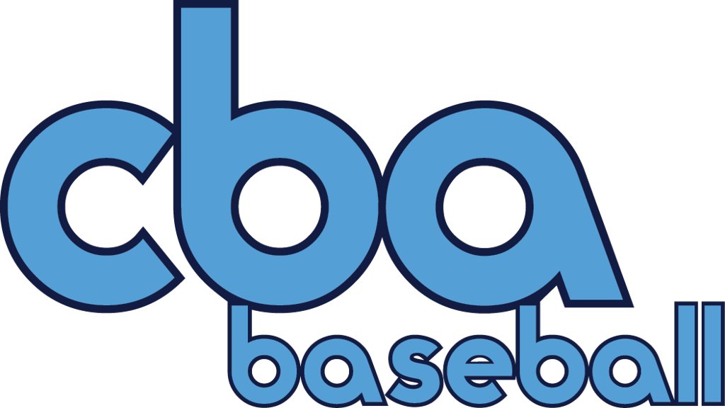 Cba Player Paperwork Registration - Vehicle Registration Plate Clipart (1024x576), Png Download