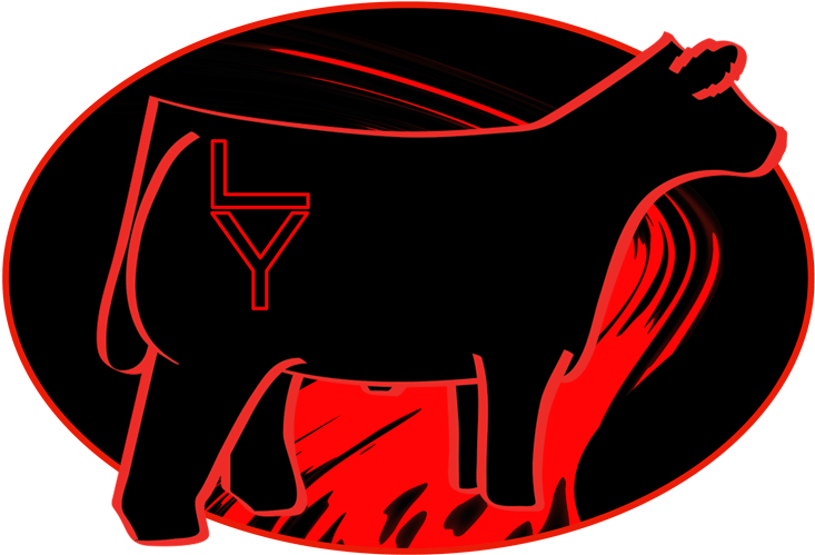 Image - Illustration Clipart (800x533), Png Download